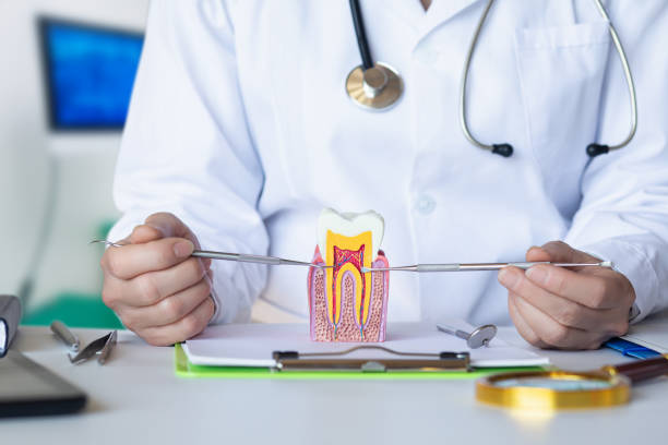 Best Emergency Gum Treatment in Boiling Springs, PA